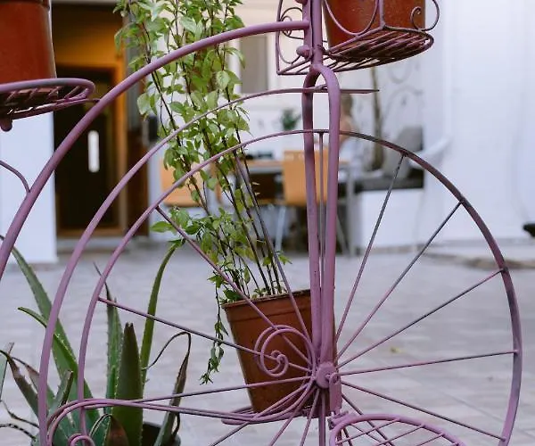 Armonia-art House *